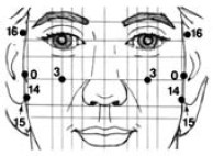 Иллюстрация к книге — Исцеление и профилактика сосудистых заболеваний. Учение Травинки [i_035.jpg]