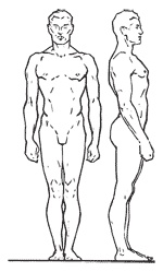 Иллюстрация к книге — Новейший справочник медицинской сестры [i_005.jpg]