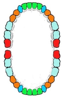 Иллюстрация к книге — Забыть стоматологов. Диеты. Симперцептинг [_4.jpg]