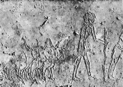 Иллюстрация к книге — Культура Древнего Египта. Материальное и духовное наследие народов долины Нила [i_040.jpg]