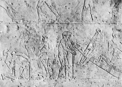 Иллюстрация к книге — Культура Древнего Египта. Материальное и духовное наследие народов долины Нила [i_041.jpg]