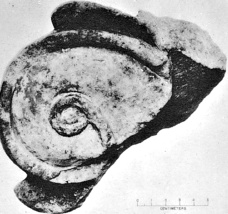 Иллюстрация к книге — Культура Древнего Египта. Материальное и духовное наследие народов долины Нила [i_074.jpg]