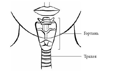 Иллюстрация к книге — Если ваш ребенок заболел. Что должны знать и уметь родители [i_013.jpg]
