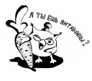 Иллюстрация к книге — Если ваш ребенок заболел. Что должны знать и уметь родители [i_023.jpg]