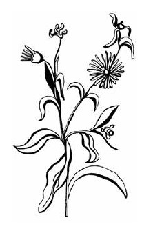 Иллюстрация к книге — Если ваш ребенок заболел. Что должны знать и уметь родители [i_028.jpg]