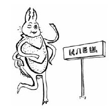 Иллюстрация к книге — Если ваш ребенок заболел. Что должны знать и уметь родители [i_056.jpg]