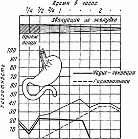 Иллюстрация к книге — Этюды желудочной хирургии [i_016.jpg]
