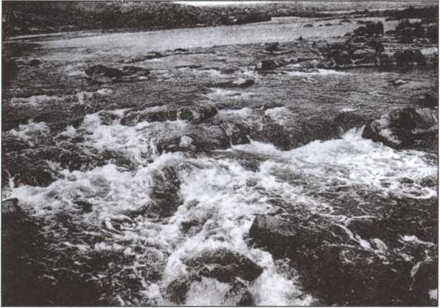 Иллюстрация к книге — Мистика русского православия [image195.jpg]