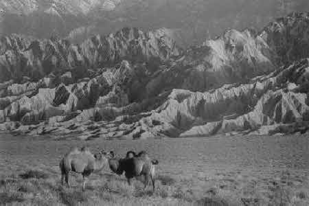 Иллюстрация к книге — Тайны великой пустыни. Миражи Такла-Макан [i_004.jpg]