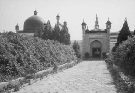 Иллюстрация к книге — Тайны великой пустыни. Миражи Такла-Макан [i_036.jpg]