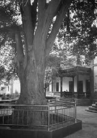 Иллюстрация к книге — Тайны великой пустыни. Миражи Такла-Макан [i_046.jpg]