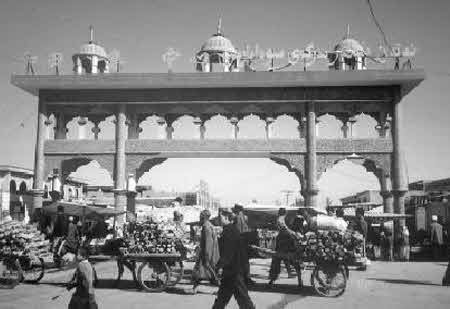 Иллюстрация к книге — Тайны великой пустыни. Миражи Такла-Макан [i_060.jpg]