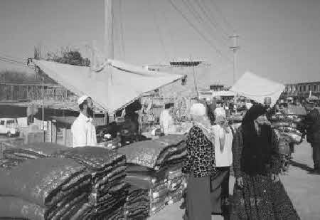 Иллюстрация к книге — Тайны великой пустыни. Миражи Такла-Макан [i_061.jpg]