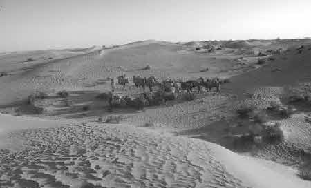 Иллюстрация к книге — Тайны великой пустыни. Миражи Такла-Макан [i_064.jpg]