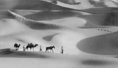 Иллюстрация к книге — Тайны великой пустыни. Миражи Такла-Макан [i_065.jpg]