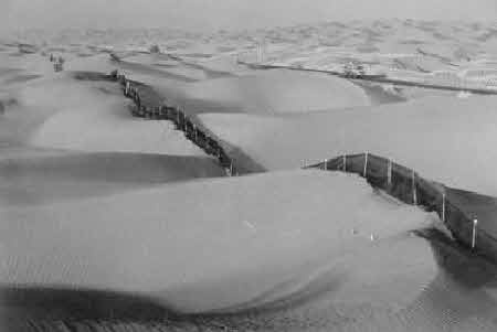 Иллюстрация к книге — Тайны великой пустыни. Миражи Такла-Макан [i_066.jpg]