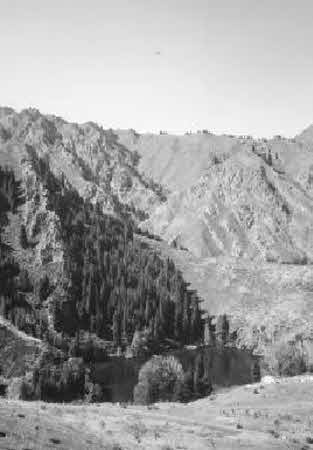 Иллюстрация к книге — Тайны великой пустыни. Миражи Такла-Макан [i_074.jpg]