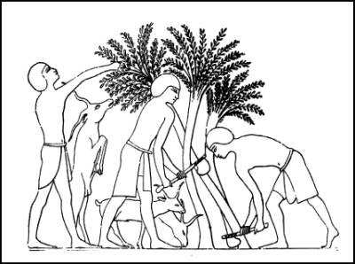 Иллюстрация к книге — Тайная история мира [i_010.jpg]