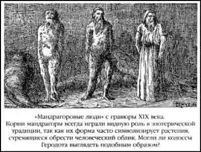 Иллюстрация к книге — Тайная история мира [i_028.jpg]