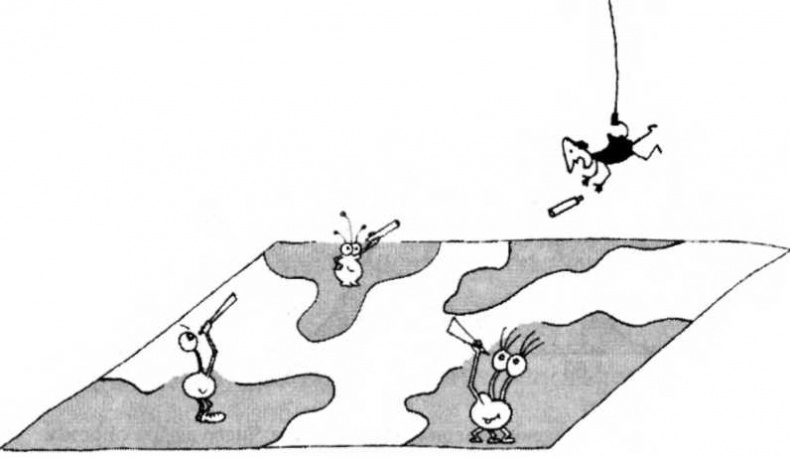 Иллюстрация к книге — Мир многих миров. Физики в поисках иных вселенных [image036.jpg]