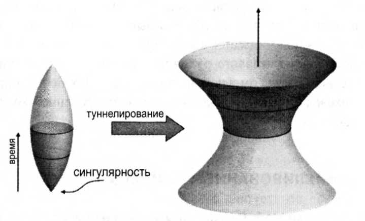 Иллюстрация к книге — Мир многих миров. Физики в поисках иных вселенных [image045.jpg]