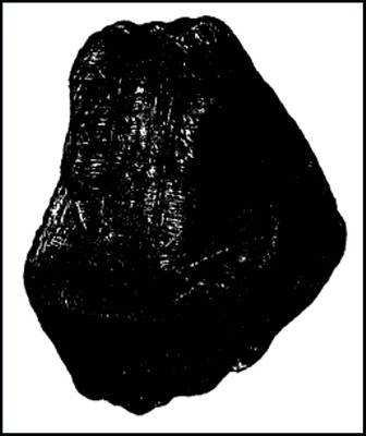 Иллюстрация к книге — Гибель богов в эпоху Огня и Камня [i_004.jpg]