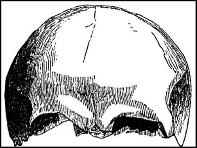 Иллюстрация к книге — Гибель богов в эпоху Огня и Камня [i_020.jpg]