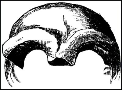 Иллюстрация к книге — Гибель богов в эпоху Огня и Камня [i_021.jpg]