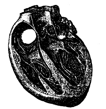 Иллюстрация к книге — Десять самых красивых экспериментов в истории науки [i_011.jpg]