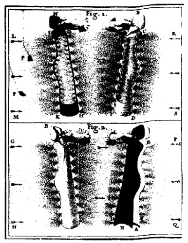 Иллюстрация к книге — Десять самых красивых экспериментов в истории науки [i_022.jpg]