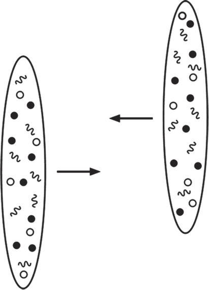 Иллюстрация к книге — Частица на краю Вселенной. Как охота на бозон Хиггса ведет нас к границам нового мира [i_010.jpg]
