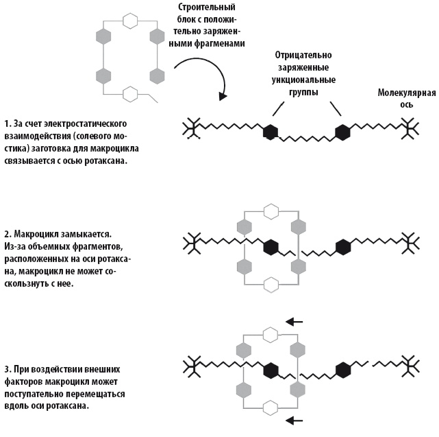 Иллюстрация к книге — Жизнь замечательных веществ [i_405.jpg]