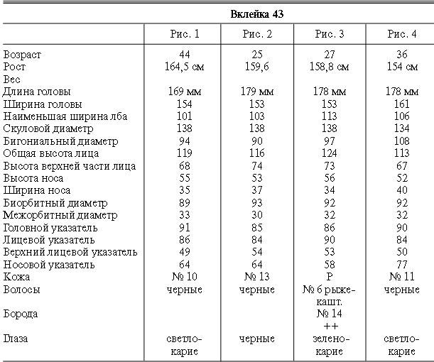 Иллюстрация к книге — Расы Европы [_129.jpg]