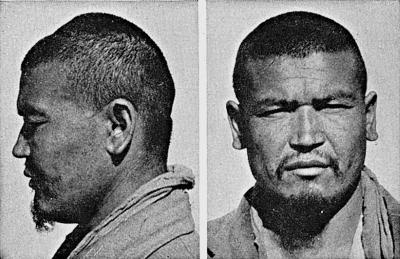 Иллюстрация к книге — Расы Европы [_146.jpg]