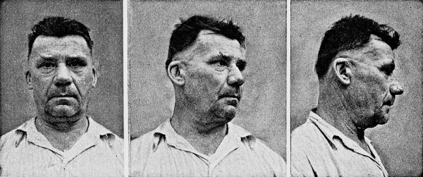 Иллюстрация к книге — Расы Европы [_166.jpg]