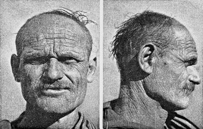 Иллюстрация к книге — Расы Европы [_172.jpg]