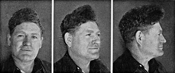 Иллюстрация к книге — Расы Европы [_174.jpg]