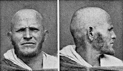 Иллюстрация к книге — Расы Европы [_182.jpg]