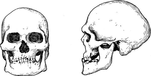 Иллюстрация к книге — Расы Европы [_22.jpg]