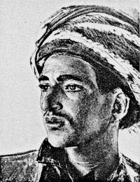 Иллюстрация к книге — Расы Европы [_223.jpg]