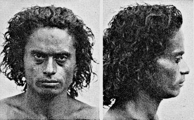 Иллюстрация к книге — Расы Европы [_234.jpg]