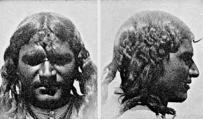 Иллюстрация к книге — Расы Европы [_235.jpg]