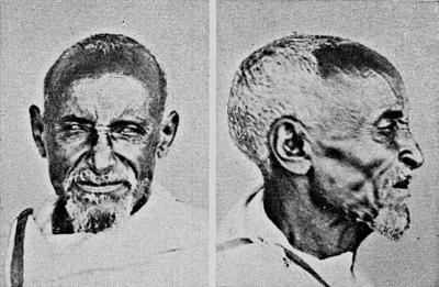 Иллюстрация к книге — Расы Европы [_237.jpg]