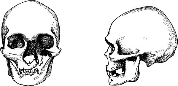 Иллюстрация к книге — Расы Европы [_24.jpg]