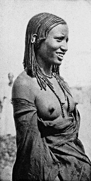 Иллюстрация к книге — Расы Европы [_240.jpg]