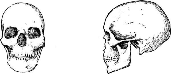 Иллюстрация к книге — Расы Европы [_25.jpg]