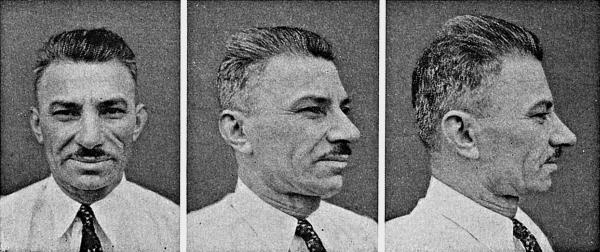 Иллюстрация к книге — Расы Европы [_318.jpg]