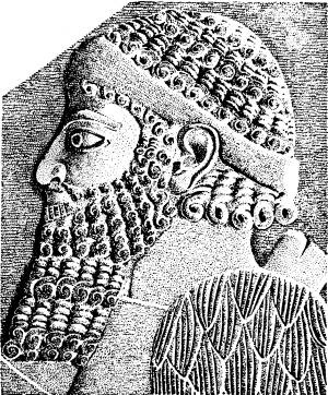 Иллюстрация к книге — Расы Европы [_35.jpg]