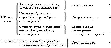 Иллюстрация к книге — Расы Европы [_46.jpg]