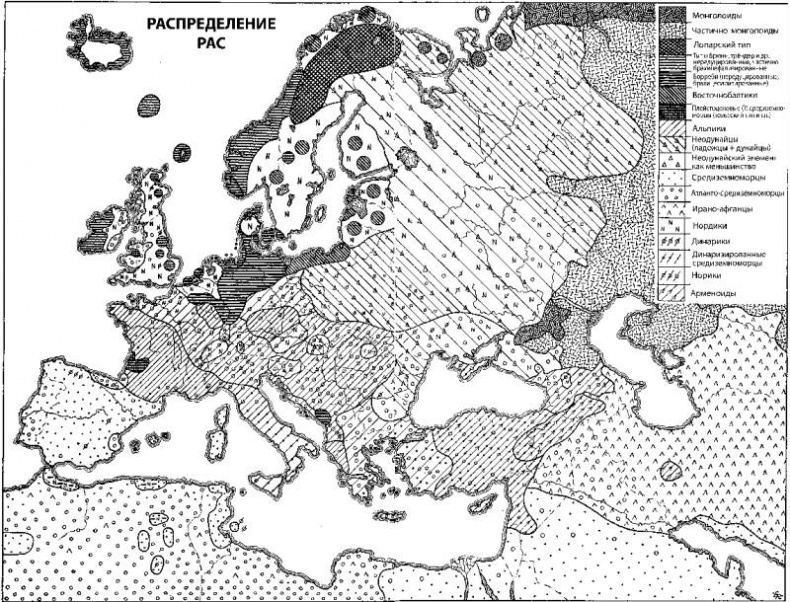 Иллюстрация к книге — Расы Европы [_57.jpg]